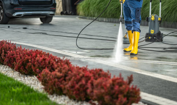 Professional Pressure Washing in Parklawn, CA